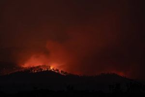 Forests fires climate and environment Forests fires climate and environment
