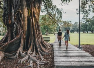 environmental psychology environmental psychology
